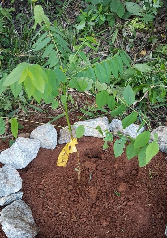 A Casa12Volts vista de cima. Construção em fase adiantada, quase pronta