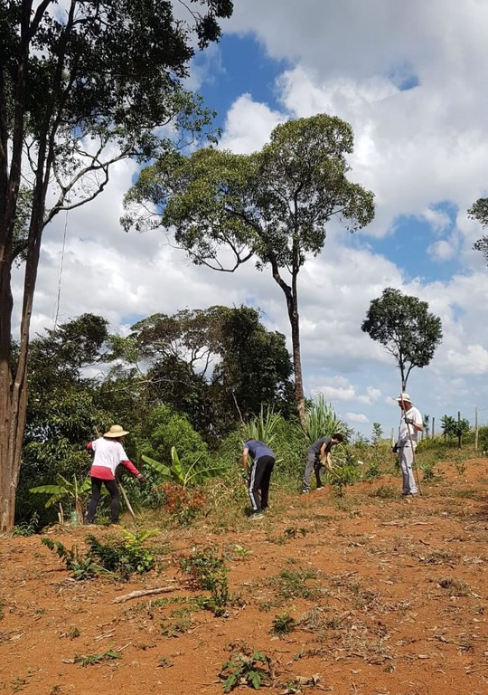 Atividades de Plantios e Escada de Pneus