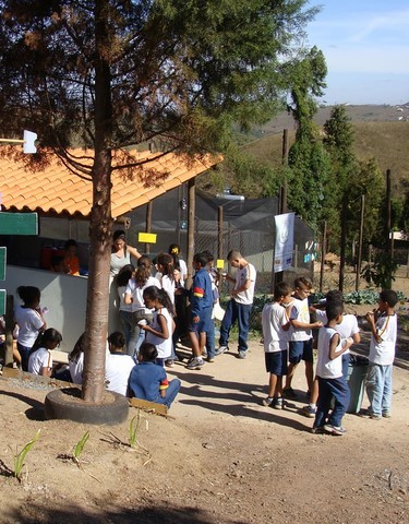 Memórias de Atividades da ONG Verde