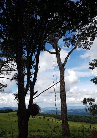 Mirante educativo – solar e lunar – com diversas informações e objetos interativos (rosa dos ventos, sol, lua, planetas, constelações, catálogos, telescópio etc.) que apresentam e valorizam a biodiversidade terrestre do Bioma Mata Atlântica.