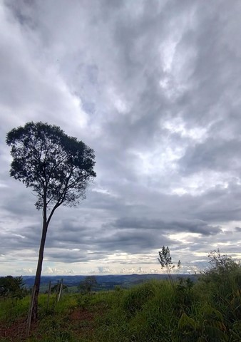 Mirante educativo – solar e lunar – com diversas informações e objetos interativos (rosa dos ventos, sol, lua, planetas, constelações, catálogos, telescópio etc.) que apresentam e valorizam a biodiversidade terrestre do Bioma Mata Atlântica.