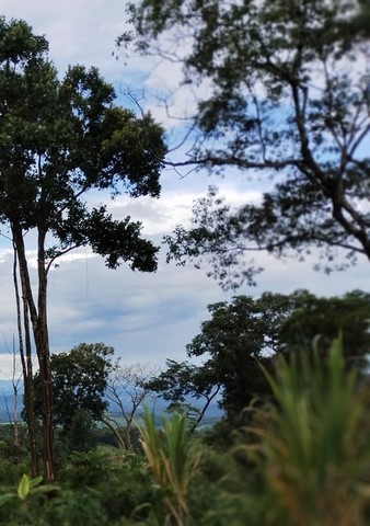 Mirante educativo – solar e lunar – com diversas informações e objetos interativos (rosa dos ventos, sol, lua, planetas, constelações, catálogos, telescópio etc.) que apresentam e valorizam a biodiversidade terrestre do Bioma Mata Atlântica.