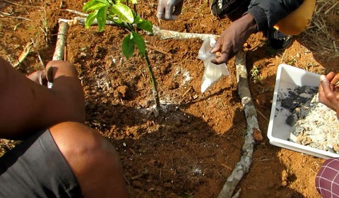 Parceria entre a ONG Verde e ADJAGB vai exportar Casa12Volts para Guiné-Bissau